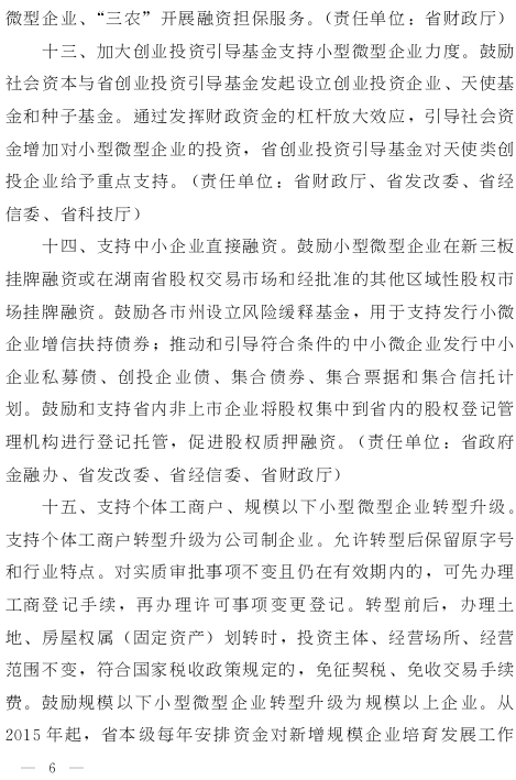 湘政發(fā)（2015）13號《湖南省人民政府關(guān)于進(jìn)一步扶持小型微型企業(yè)健康發(fā)展的實(shí)施意見(jiàn)》6
