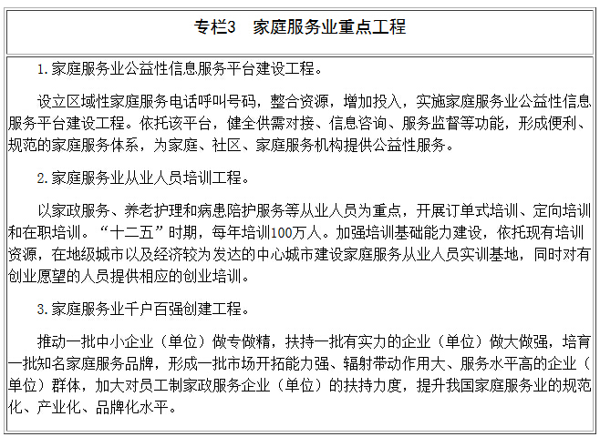 專(zhuān)欄3　家庭服務(wù)業(yè)重點(diǎn)工程